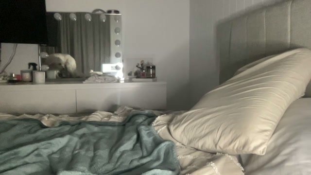 teishh chaturbate webcam recordings thumbnail