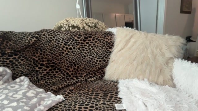 caseyyyhere chaturbate webcam recordings thumbnail