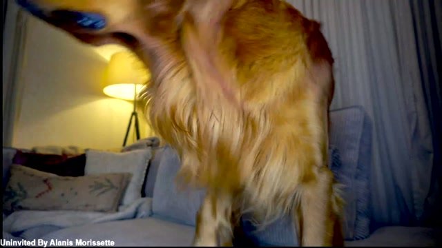 x_lily_x chaturbate webcam recordings thumbnail