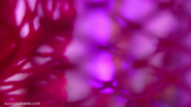 bunnydollstella chaturbate webcam show recording
