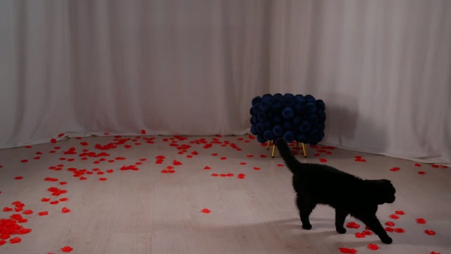 kittycaitlin & 02.10.2026 / 23:51